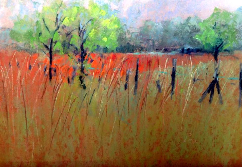 Coquelicots faits en plein air par Léa